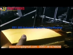 Коробка бумаги PRY-800 раскрывая коробку плода формируя машину с мотором сервопривода